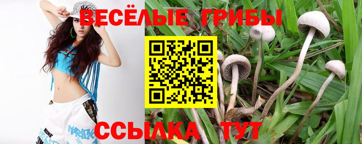 Галлюциногенные грибы Cubensis  Вход с VPN  Галлюциногенные грибы ЛСД  Улан-Удэ 